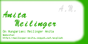 anita meilinger business card